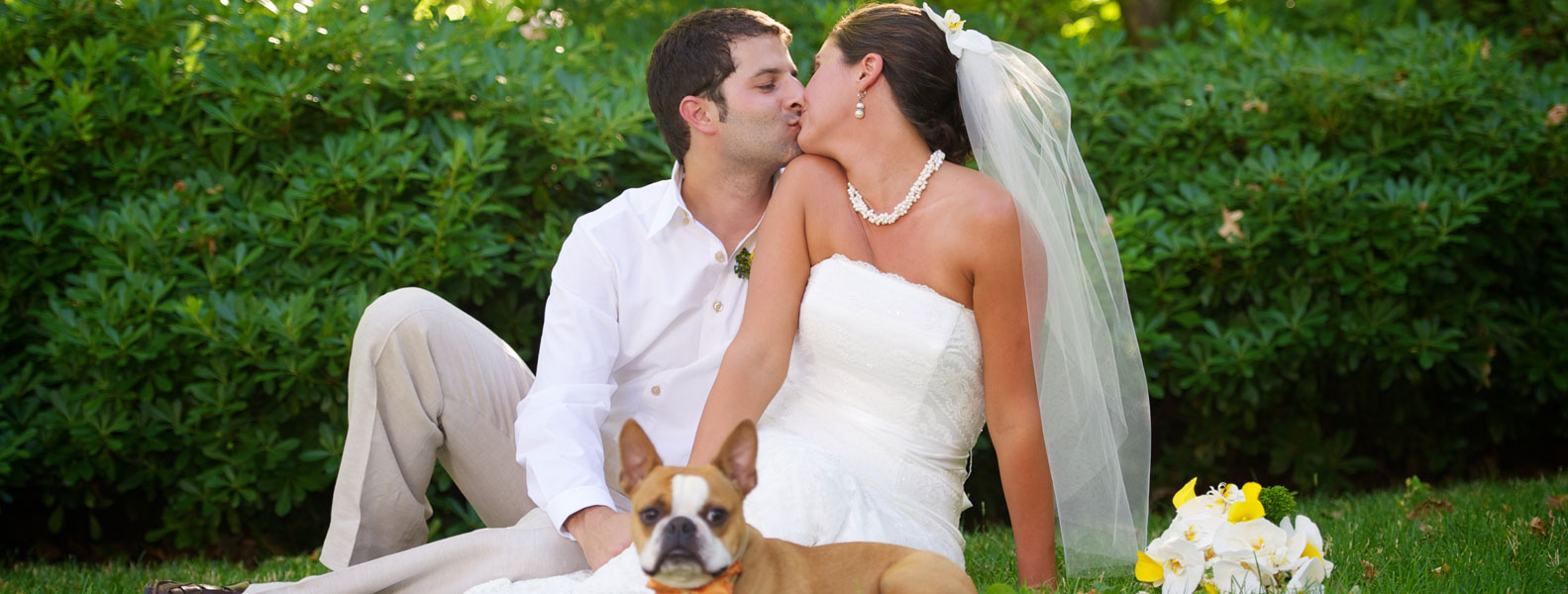 在线轰炸电话网页版免费测试